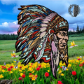 The Cherokee Chief